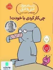 داستان های فیلی و فیگی 12 چی کار کردی با خودت نشر پرتقال