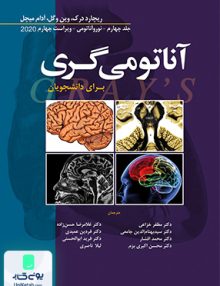 آناتومی گری نورو آناتومی جلد چهارم ویراست چهارم 2020 نشر ابن سینا