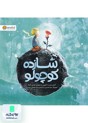 شازده کوچولو مهرسا